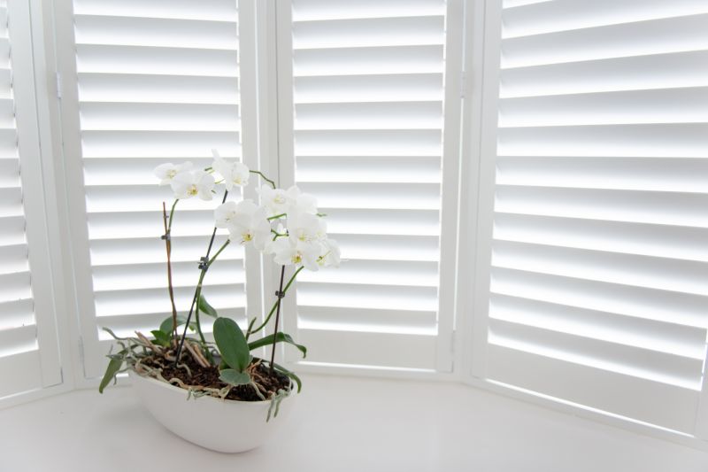 Shutters Installation in Arvada, CO